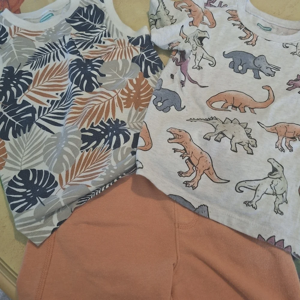 Kids' Summer Outfit Set - Dinosaur, Leaf, and Surfboard Prints